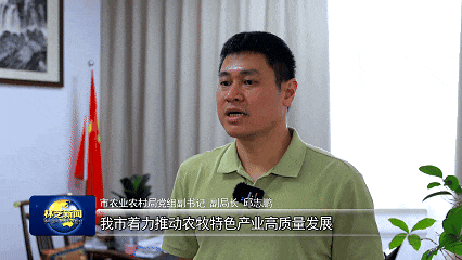 林芝小学